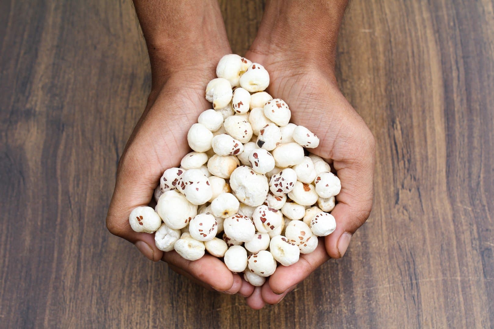 Fox nuts or makhaana holding with hand close-up view